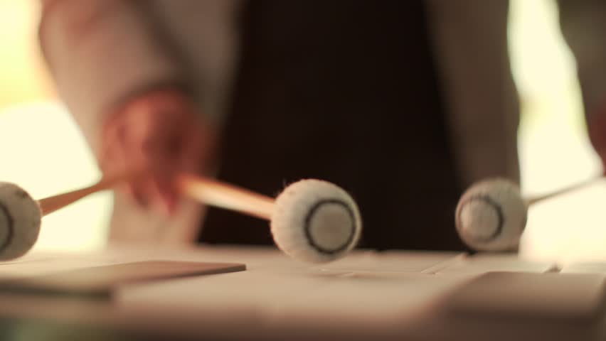 close-up shot of a musician playing the xylophone