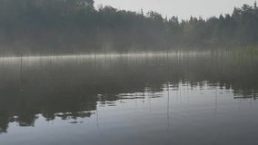 A slow, cinematic pan across a quiet misty lake at sunrise. Tall grasses and reeds frame the scene as soft morning light and mist hover over the still water. Ideal nature b-roll for documentaries, tra - Powered by Shutterstock - Get 15% off with code: PIKWIZARD15