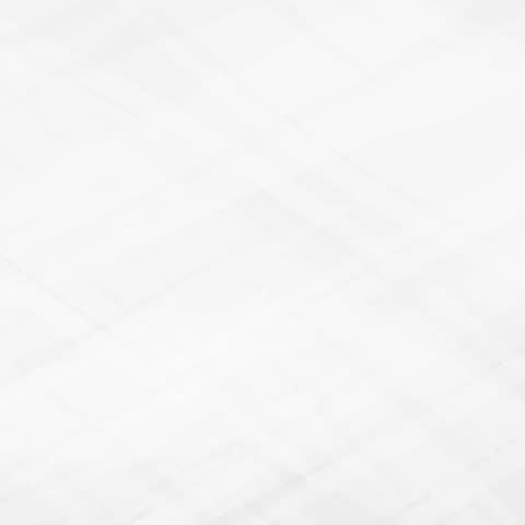 Shutterstock Video