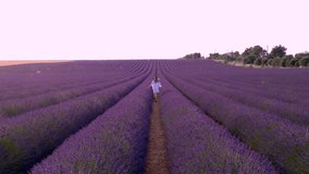 Epic Beautiful Lavender Field at Sunset Pretty Girl Runs in White Dress Through Purple Flowers Aerial Drone Provence France Adventure Travel - Powered by Shutterstock - Get 15% off with code: PIKWIZARD15