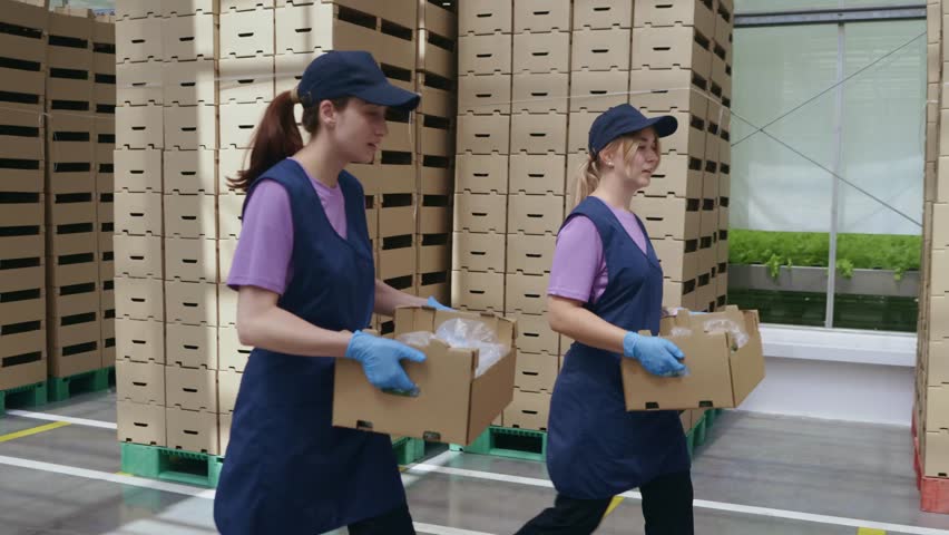 Two female farm workers in uniform carry boxes filled with fresh vegetables down a modern hallway with stacked boxes in the background.