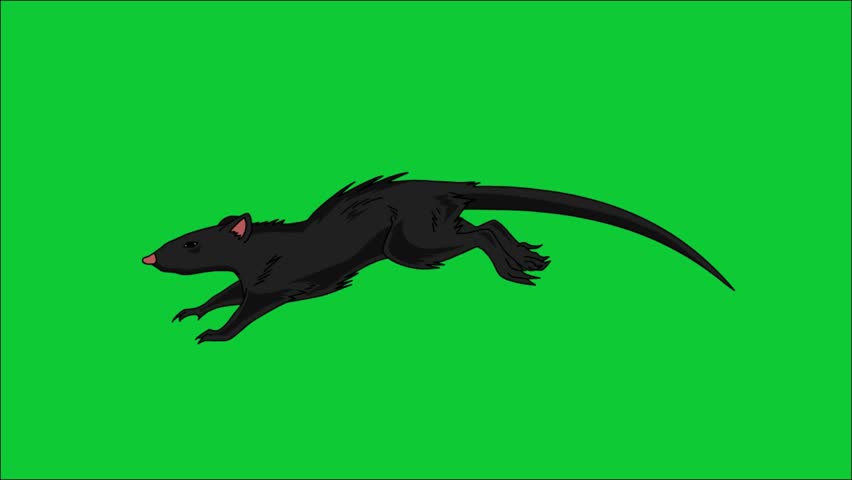 High-speed 2D looping animation of a black, furry rat running quickly, drawn in a rough, hand-sketched line art style