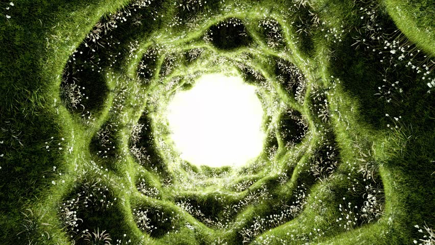 Nature Background Animation of Green Grass and Flowers Looped. Surreal Grassy Tunnel Covered in White Flowers Spiraling Glowing Center. Dreamy Hypnotic Scene Eco Fantasy Calmness and. 3D Illustration