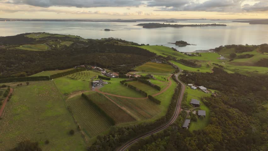 Ocean view with vineyards and houses on Waiheke Island, New Zealand.