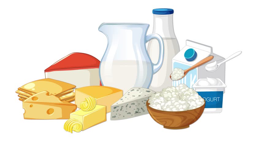 A static arrangement of various dairy products including milk, cheese, butter, yogurt, and cottage cheese, presented in a clean, bright, flat vector style with no visible movement