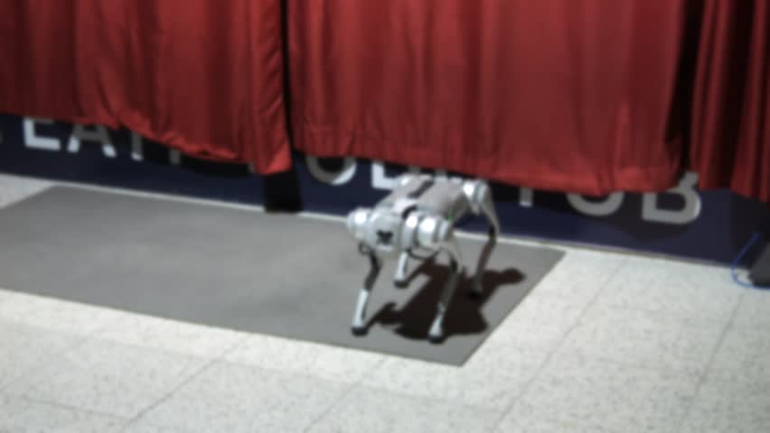 Robot Exhibition. Robot Dog. Concept of interaction between robot and human. 4K