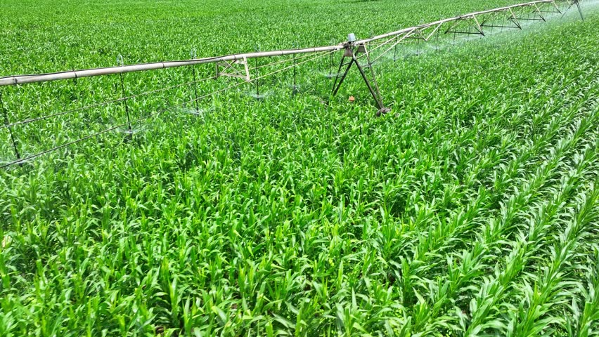 High-angle drone footage of circular center pivot irrigation operating in farmland, representing innovative agricultural solutions designed for water-saving and enhanced crop production.

