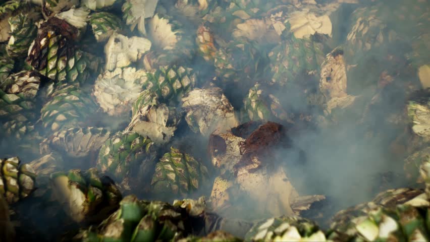 SLOW MOTION SHOT OF AGAVE PINEAPPLES FALLING INTO A FURNACE AT A MEZCAL DISTILLERY IN OAXACA