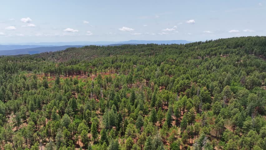 Aerial view of densely forested mountains with lush green trees contrasting against the sky, creating a scenic landscape, Pine, Arizona, United States.