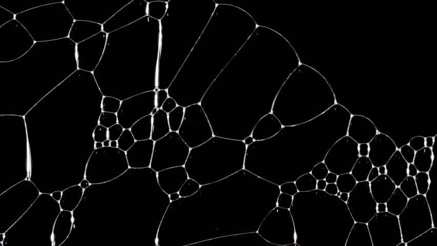 Bubbles of white soap foam. Moving Soap foam popping bubble on a black backdrop. Soap sud macro structure. Clean, cleaning concept, laundry, shower. 