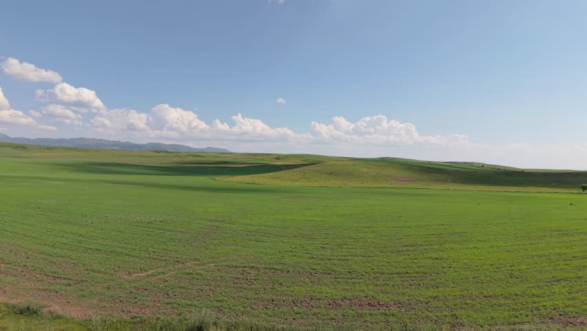 White and fluffy cumulus clouds drifting slowly across vivid blue sky, casting gentle moving shadows over verdant rolling hills and lush green fields in scenic rural landscape