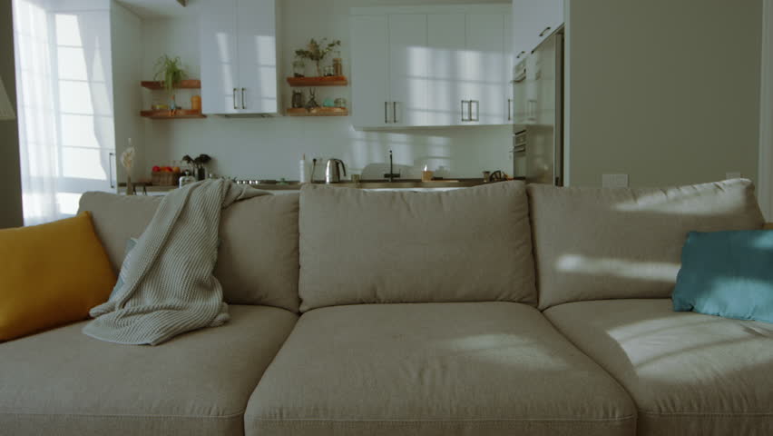 Golden retriever jumps on modern sofa holding TV remote