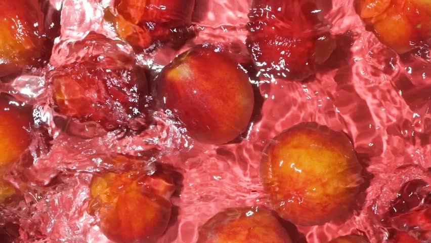 Fruity summer background of fresh red peaches in water top view slow motion. - Powered by Shutterstock - Get 15% off with code: PIKWIZARD15