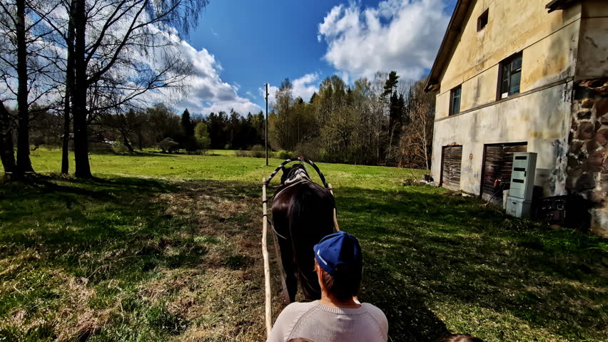 Traditional horse cart rural simple life Eastern Europe countryside ride outdoor