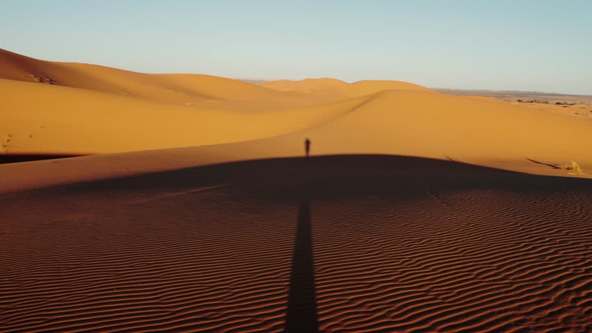 Vast expanse of the Sahara Desert with beautiful, rolling sand dunes at sunrise. A lone figure