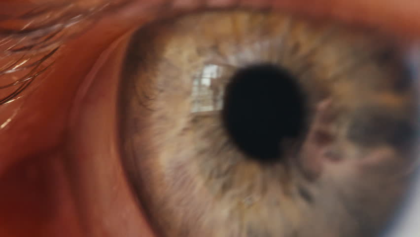 Macro photo of a detailed blue eye with strong gaze, showing human anatomy and beauty