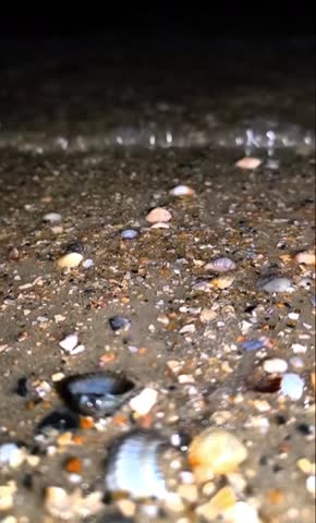 Sea waves and shells on the sand, night sea, relaxation, vibe, nature, peace, sea water, sea trip, tourism