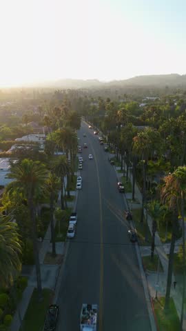 Palm-Lined Street at Sunset, Beverly Hills, July 9, 2025