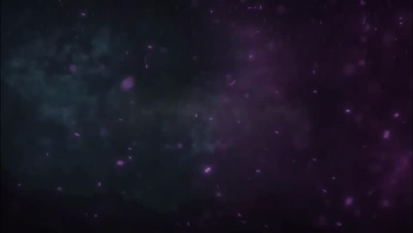 Shutterstock Video
