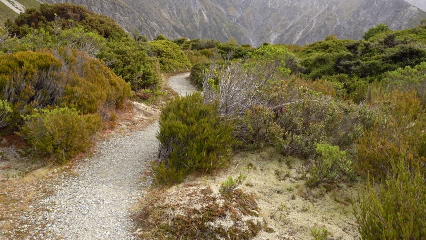 Hiking Trails Through Mount Cook, Southern Alps, South Island, New Zealand