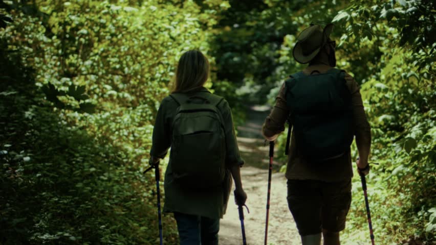 Two hikers with backpacks and trekking poles walk along sun-dappled, leafy forest trail, exploring nature. Adventure seeker hiking trail. Scenic route woodland walk with backpack active lifestyle