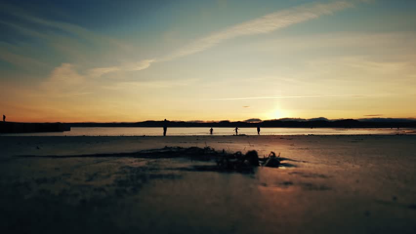 Golden sunset over sandy beach with people in silhouette stock footage