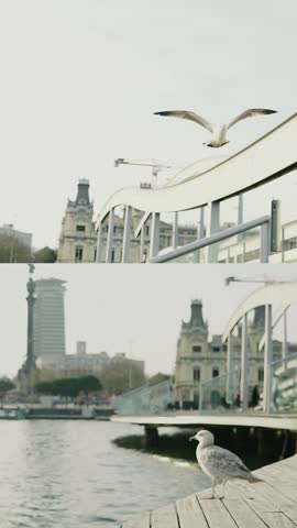 Sea embankment with water and waves on the shore of the Spanish city of Barcelona. Seagulls and birds on the pier in the port of the old European city. Embankment with blue water in the summer during