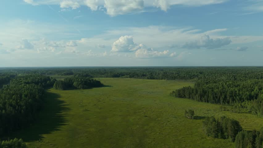 Aerial view of a vast green swamp with patches of forest under a partly cloudy blue sky. Drone footage captures the natural landscape and open wetland surrounded by dense woodlands.