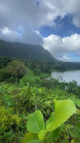 A beautiful botanical garden with lush plants, overlooking a calm pond and green mountains in the background.