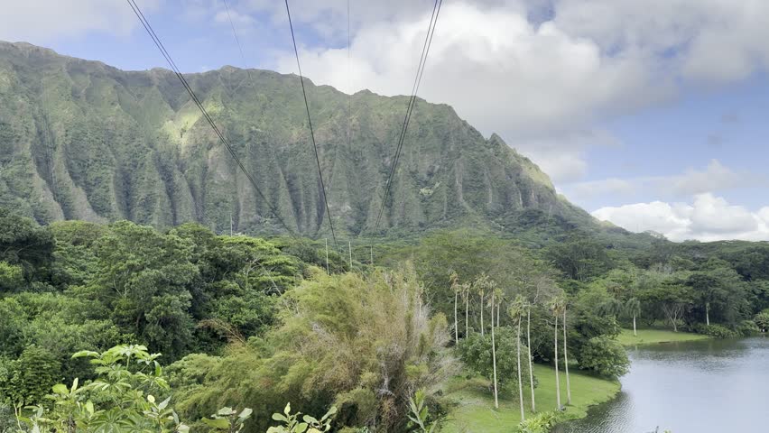 A beautiful botanical garden with lush plants, overlooking a calm pond and green mountains in the background.