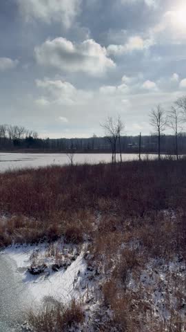 Sunny winter day over a frozen marsh with snow-dusted grasses and bare trees, captured in vertical format with subtle ambient sounds and soft breeze.