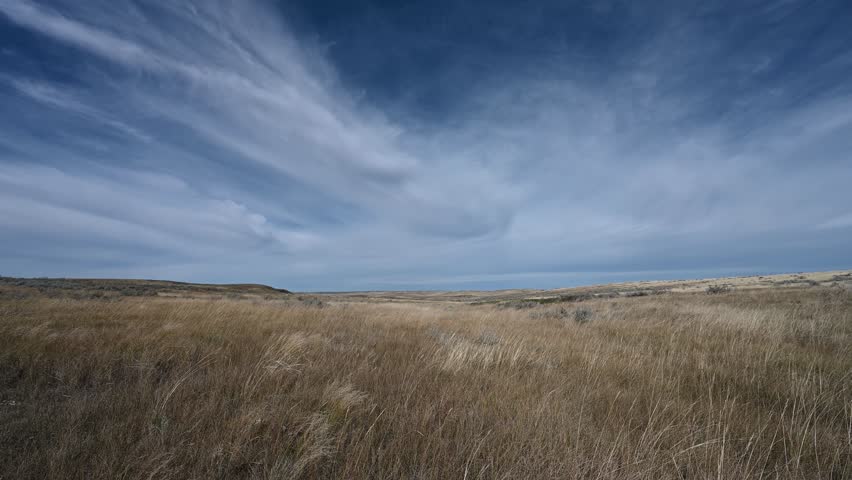 A light wind blowing dry prairie grass on a vast ranch under a blue summer sky with wispy clouds