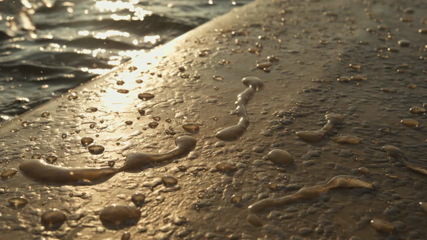 Extreme close-up slow motion of water droplets splashing onto a surfboard resting in the sea. Sunlight sparkles on the surface, highlighting each droplet. Shot in Domburg, Netherlands.