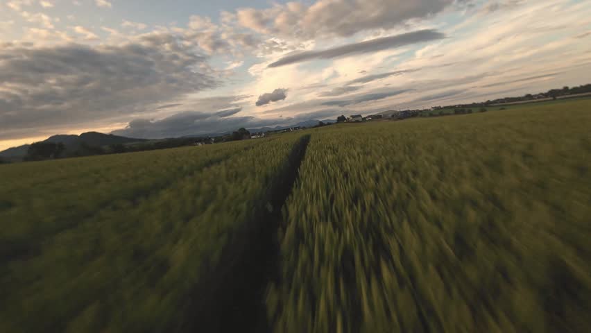 Flying low other the field on fpv drone in County Louth, Dundalk Ireland