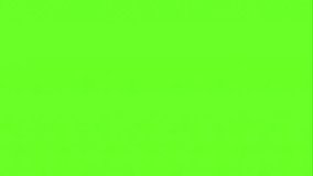 Mesmerizing Jellyfish Animation. Perfect for underwater scenes, educational content, motion graphics, or calming visual backgrounds. Animation, green screen background. - Powered by Shutterstock - Get 15% off with code: PIKWIZARD15