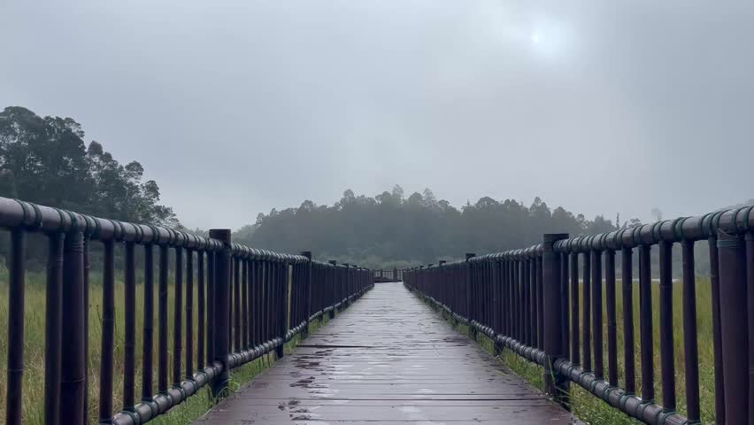 Wooden Pathway Leading to Misty Forest Lake – Serene Scenic View in a Foggy Morning Landscape	