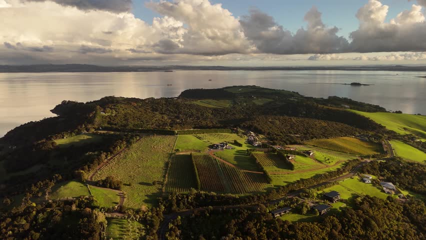 Panoramic aerial view over vineyards and houses on Waiheke Island, New Zealand.