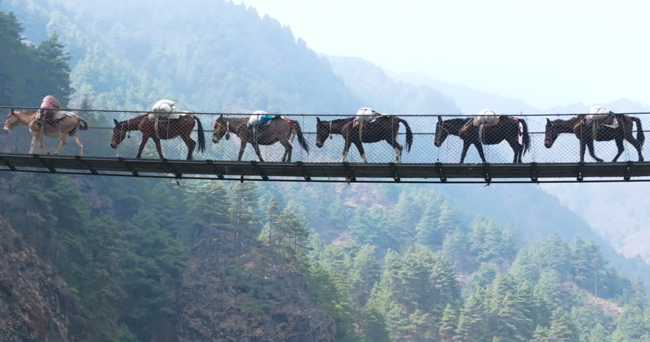 Drone shot of Hillary Bridge enroute to Everest Base Camp, mules transport gears over river in serene Sagarmatha landscape, Nepal trekking route with rivers and peaceful scenario