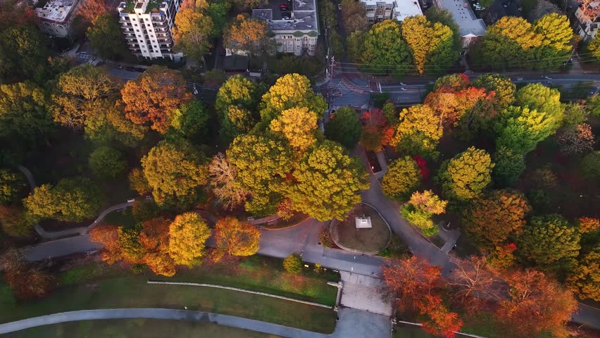 Aerial view of buildings interspersed with trees, the warm tones of sunrise casting a golden glow, creating a captivating contrast, Atlanta, Georgia, United States.