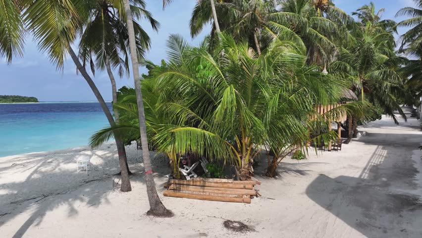 Aerial view of lush green palms swaying above the white sands and turquoise sea, with a thatched structure nestled amongst the trees, Maalhos, Baa Atoll, Maldives.