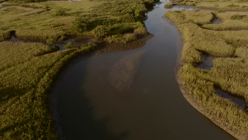 Aerial view of winding waterways cutting through a vibrant green marshland, contrasting with the dark water and distant structure, St. Augustine, Florida, United States.