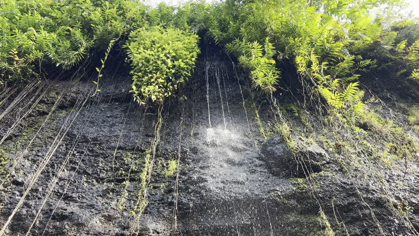 The waterfall, which originates from a spring, falls and wets the rock walls.