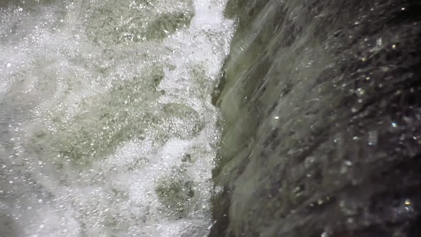 Shutterstock Video