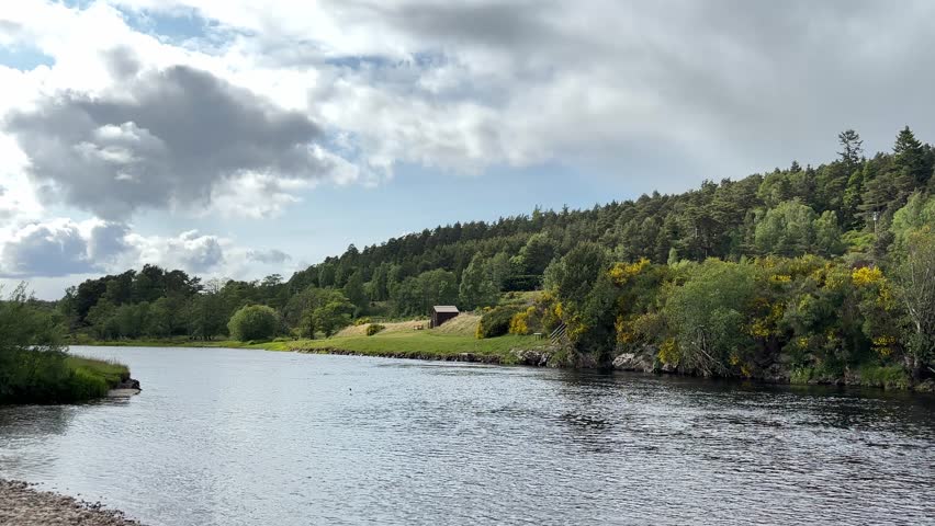 Scotland – June 1st 2025: Riversides of the Spey with flowing water, shingle banks, lush woodland, wildlife activity, and serene Highland scenery.