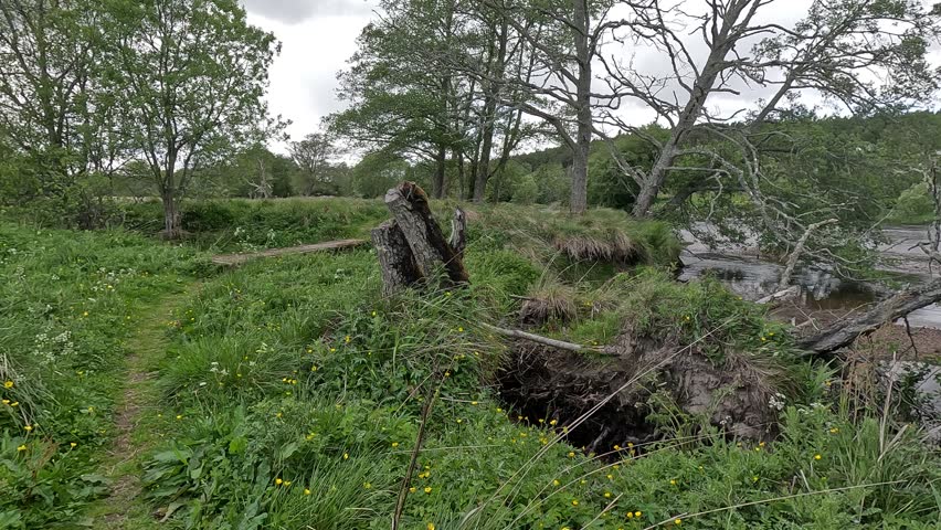 Scotland – June 1st 2025: Riversides of the Spey with flowing water, shingle banks, lush woodland, wildlife activity, and serene Highland scenery.
