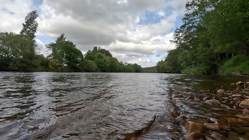 Scotland – June 1st 2025: Riversides of the Spey with flowing water, shingle banks, lush woodland, wildlife activity, and serene Highland scenery.