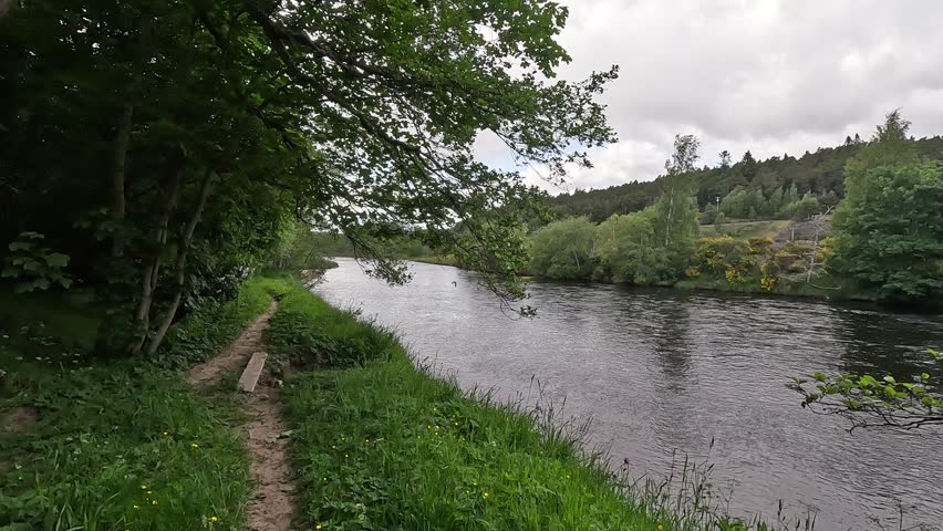 Scotland – June 1st 2025: Riversides of the Spey with flowing water, shingle banks, lush woodland, wildlife activity, and serene Highland scenery.