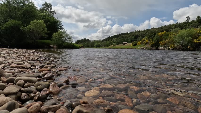 Scotland – June 1st 2025: Riversides of the Spey with flowing water, shingle banks, lush woodland, wildlife activity, and serene Highland scenery.