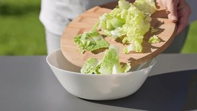 chef put in bowl sliced fresh green romaine lettuce leaves to prepare a healthy salad. outdoor cooking, food closeup - Powered by Shutterstock - Get 15% off with code: PIKWIZARD15