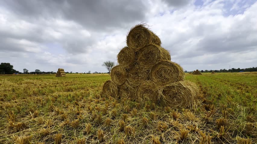 Hay bales in the countryside south india
